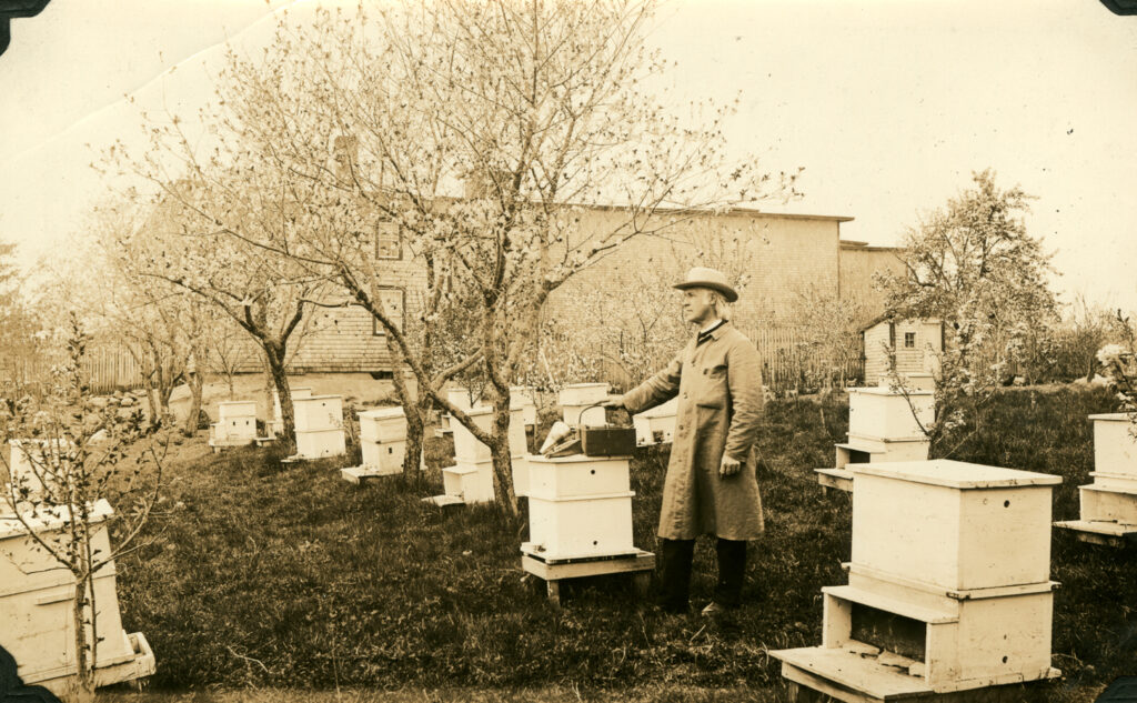 Elder Blinn and His Bees