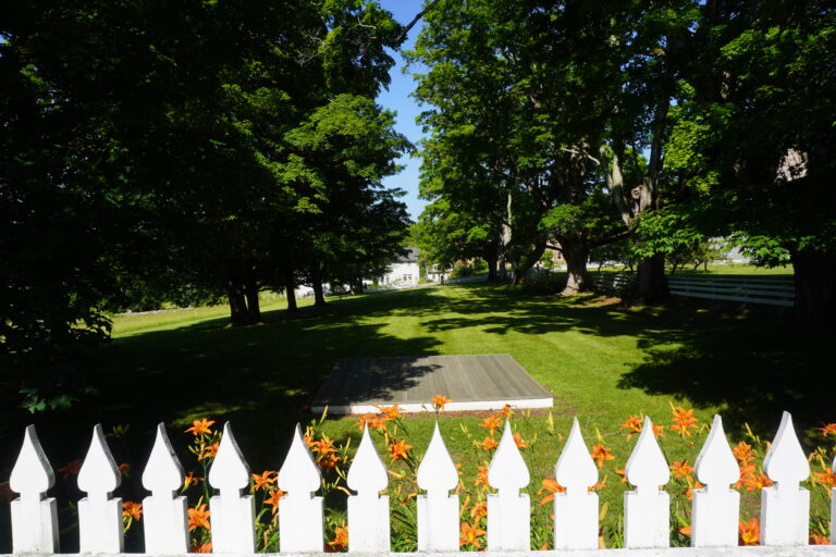 White picket fence with orange flowers along a green lawn, trees and houses in the background on a sunny day.