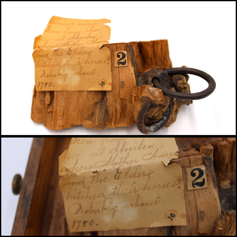 Ann Lee Hitch_Tree 760 x 760